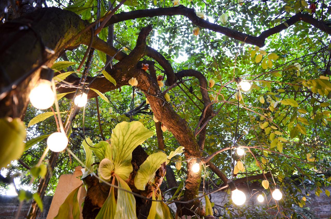 Magic Garden House Hotel Cali Bagian luar foto